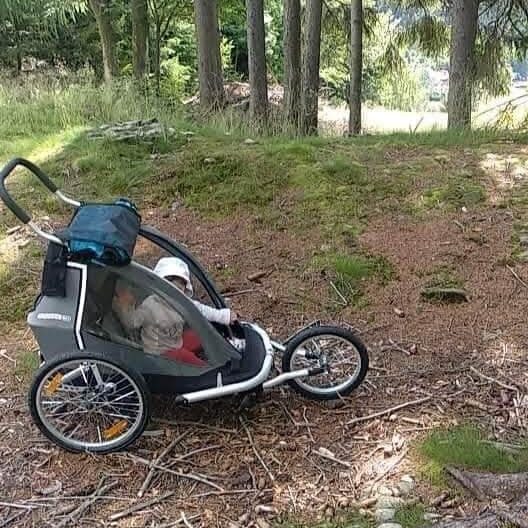 croozer16
